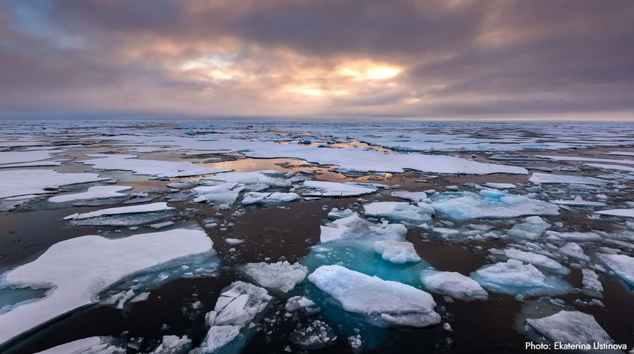 MEPs say the Arctic should remain governed by international law principles
