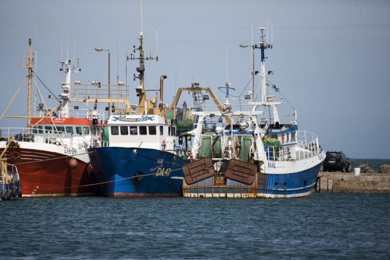 MEPs want to intensify the fight against illegal fishing to ensure food safety