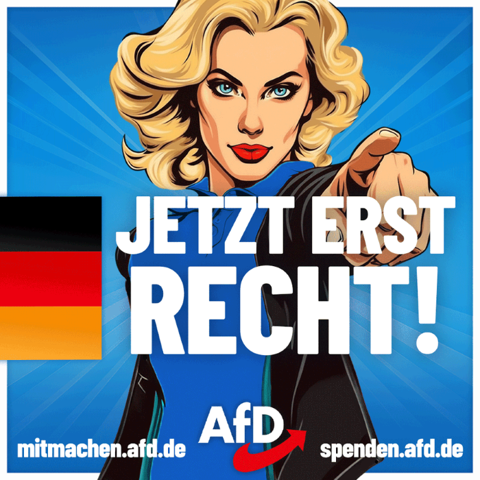 Germany’s far-right AfD MPs to attend BRICS summit in Russia