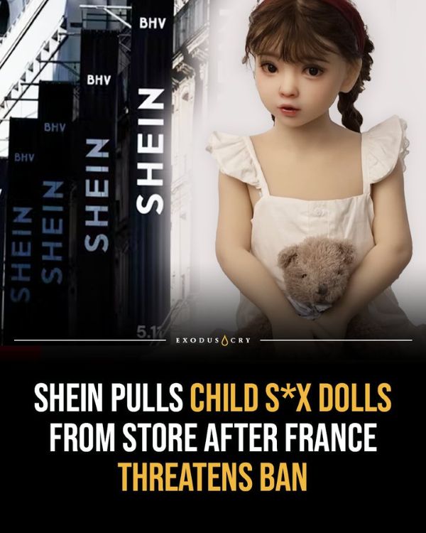 France pushes EU to investigate Shein over illegal item sales