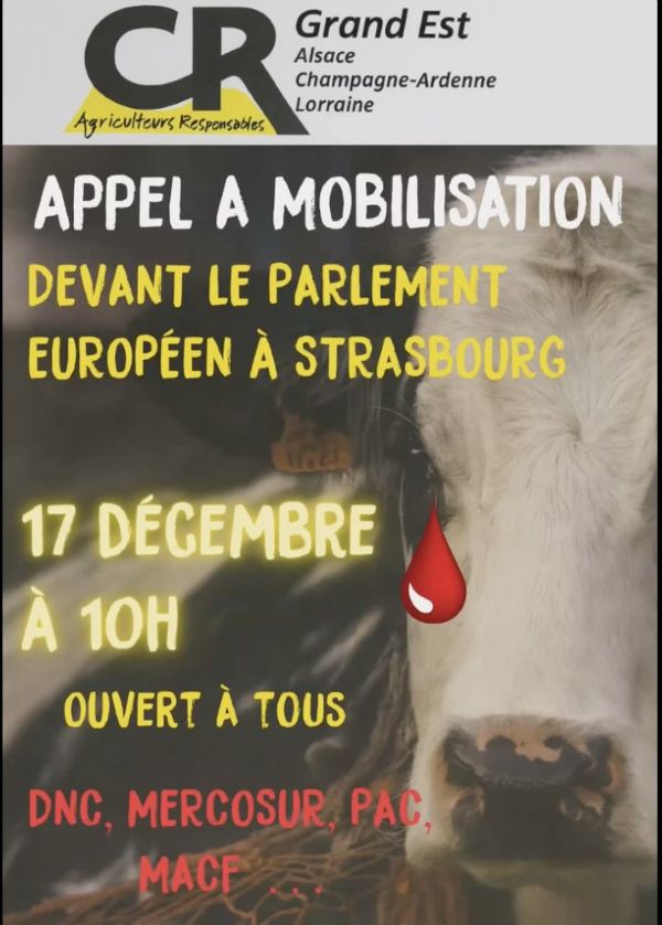 Farmers and politicians try to annul the EU’s free-trade deal with Mercosur