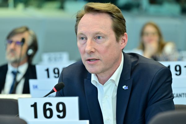 The EU’s electricity grids must be strong, smart and secure, EESC stressed